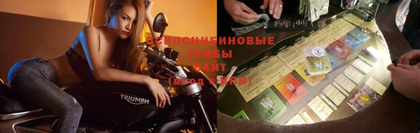 PSILOCYBIN Алексин