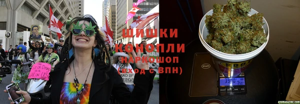PSILOCYBIN Алексин