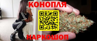 гашик Заводоуковск