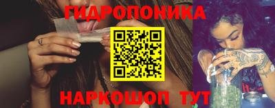 гашик Заводоуковск