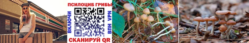 Псилоцибиновые грибы GOLDEN TEACHER  Туймазы 