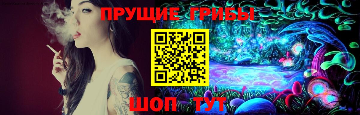 Галлюциногенные грибы Magic Shrooms  Псилоцибиновые грибы GOLDEN TEACHER  Вход с VPN  Туймазы 